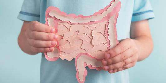 Why Gut Health is Crucial for Kids: Probiotics, Prebiotics, and Postbiotics Explained