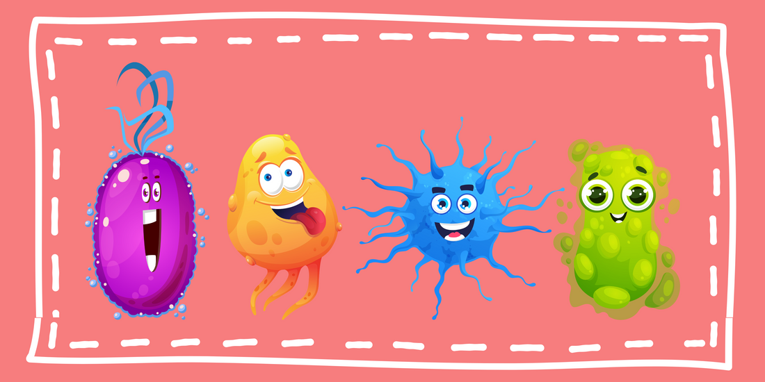 Synbiotics: The Ultimate Gut Health Solution for your children