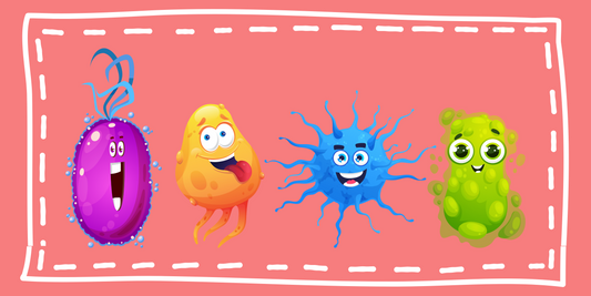 Synbiotics: The Ultimate Gut Health Solution for your children