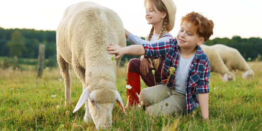 Australian-Made and Sugar-Free: The Tummy Buddies Difference